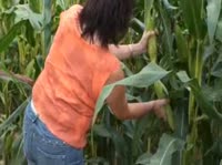 ������������ ����� ���������