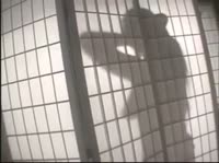  ������� ��������� � �������