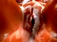 ���� ������ ������� ������ ��������� ������� �����